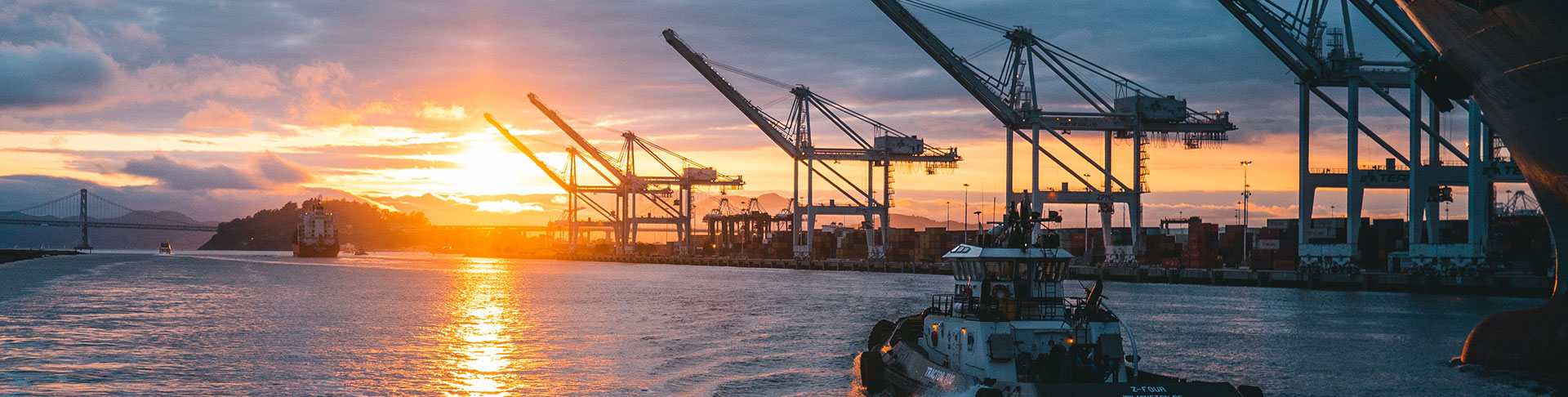 Danışmanlık-Hizmetleri